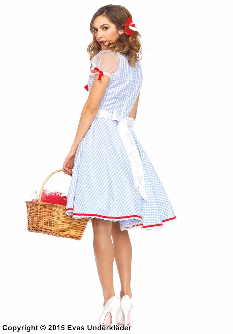 Dorothy från Trollkarlen från Oz, maskeradklänning, rutmönster